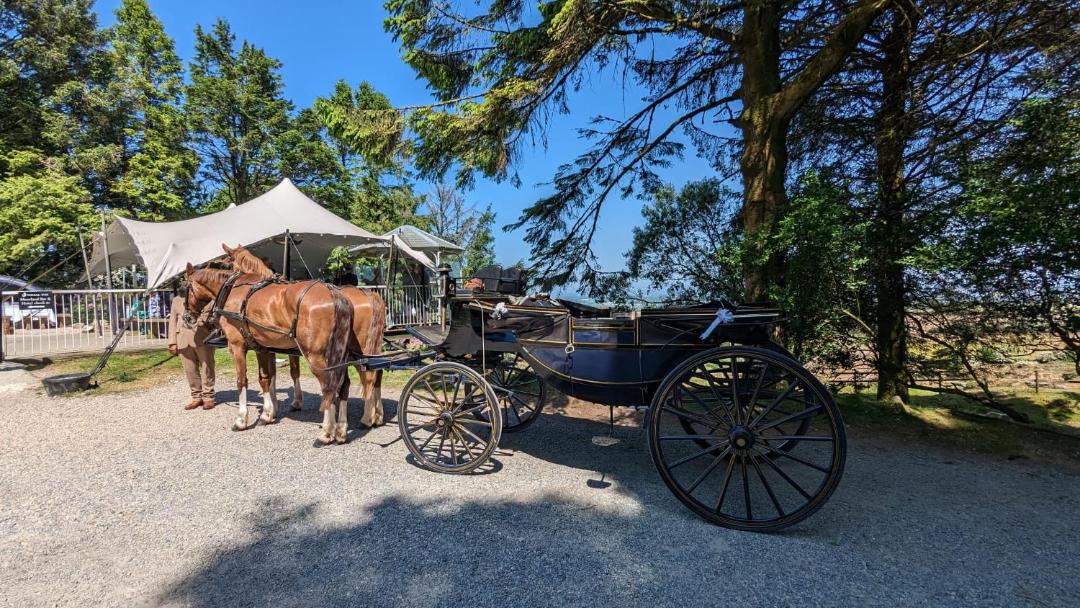 Photo of Others in Pensilva