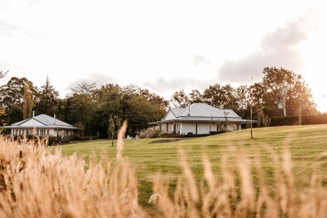 Photo of Others in Berry