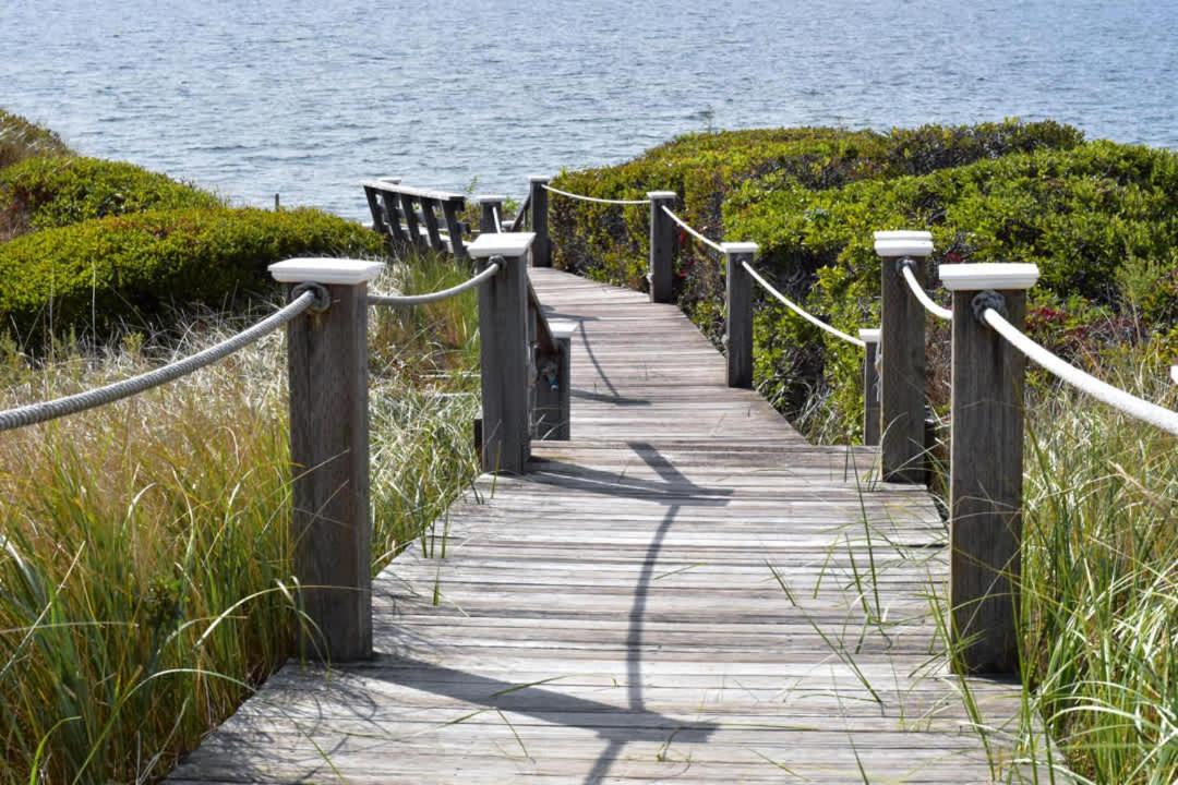 Photo of Others in Truro