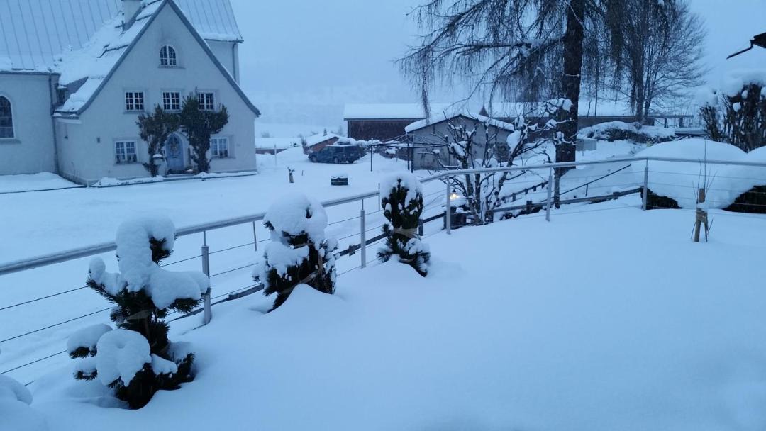 Photo of Others in Flims