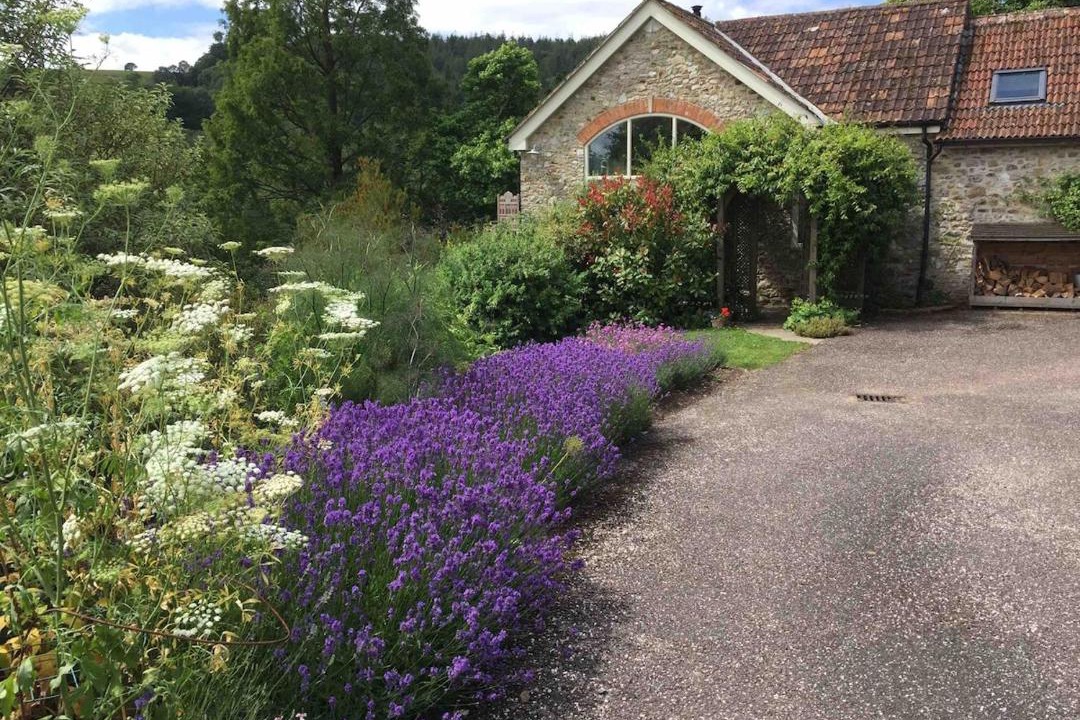 Photo of Others in Axminster