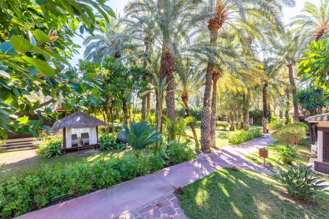 Photo of Others in Elche