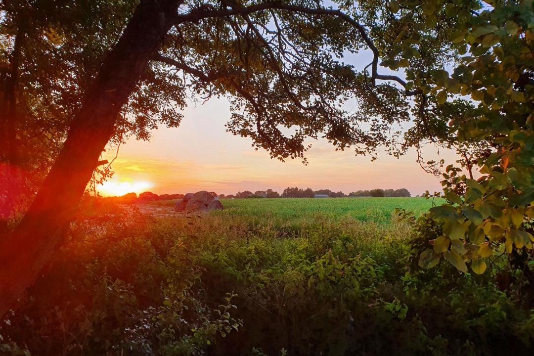 Photo of Others in Attleborough