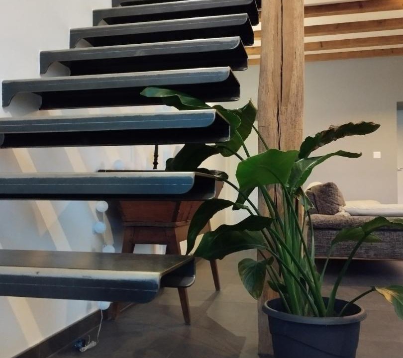 Photo of Others in Soissons-sur-Nacey