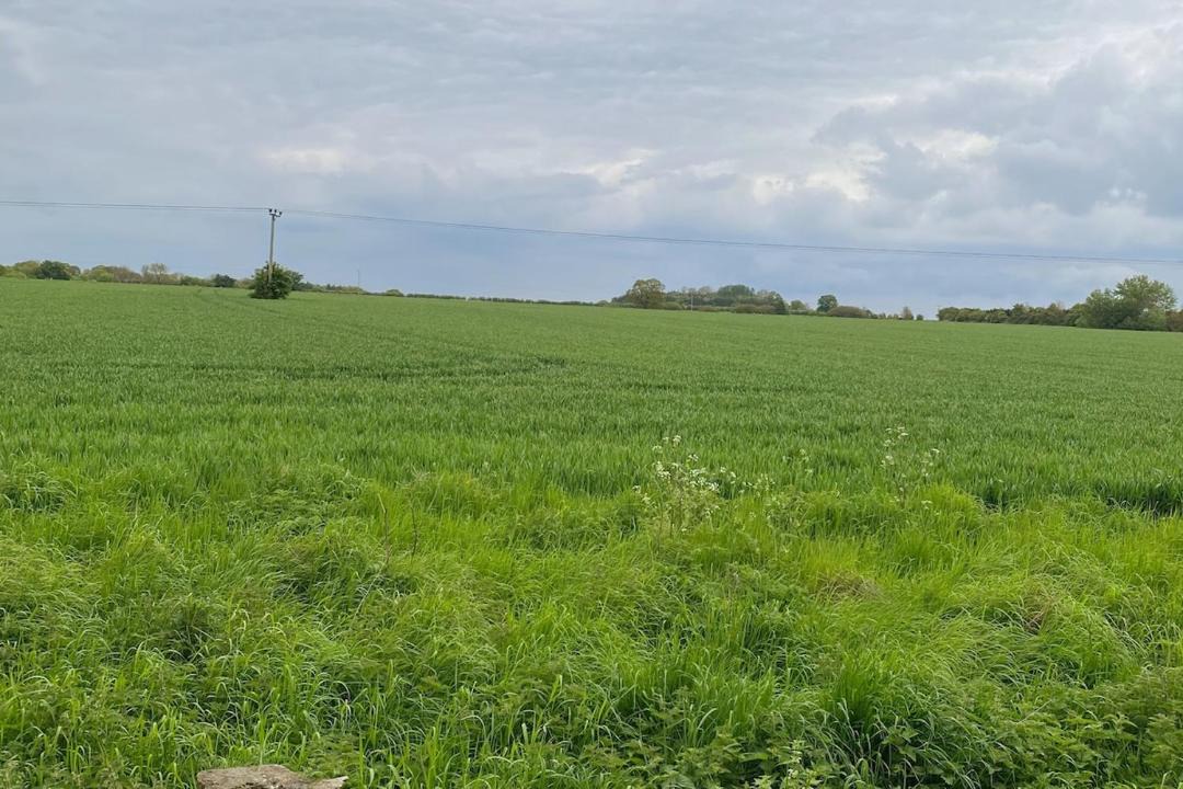 Photo of Others in Easton Royal