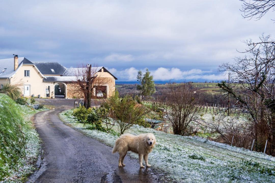 Photo of Others in Monein