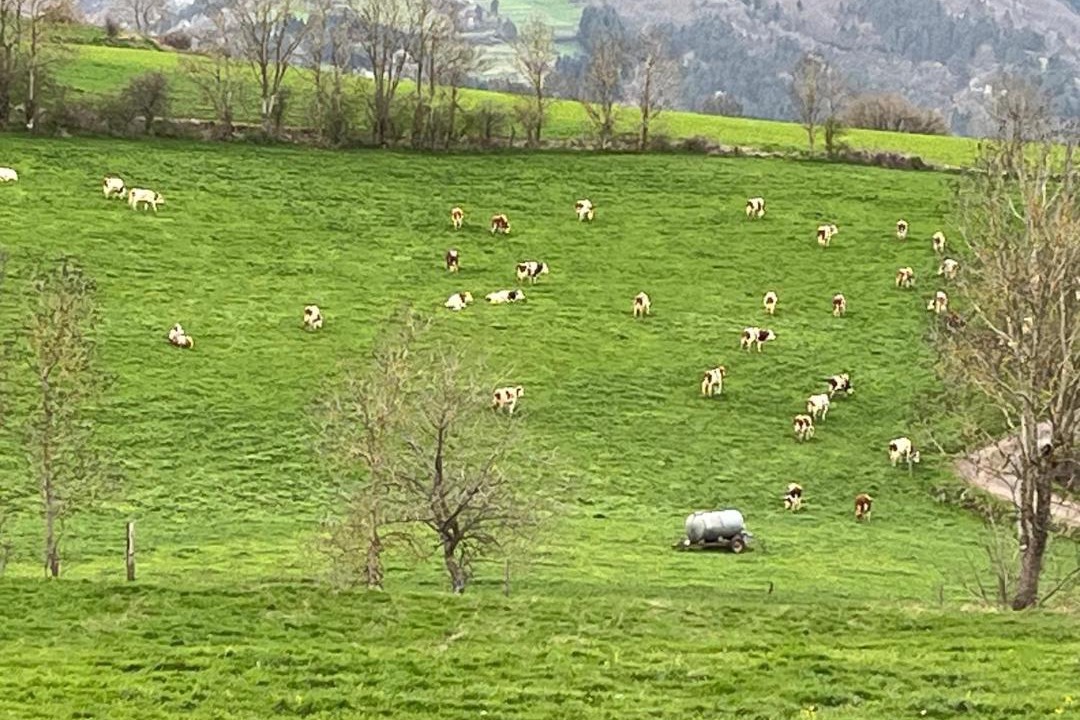 Photo of Others in Saint-Berain