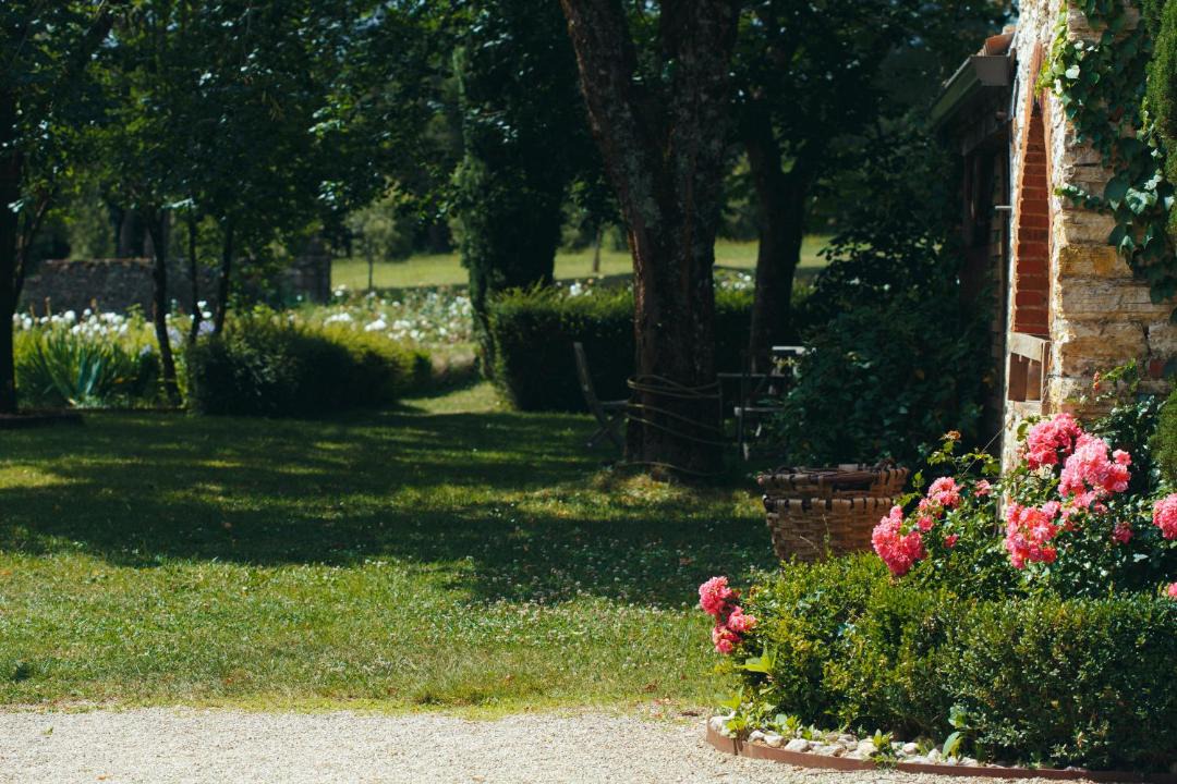 Photo of Others in Espere