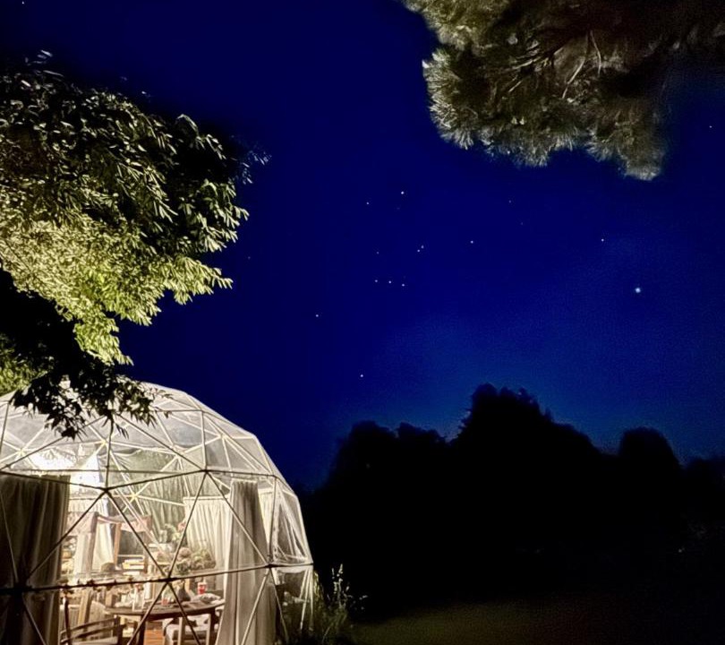 Photo of Others in Tamahere