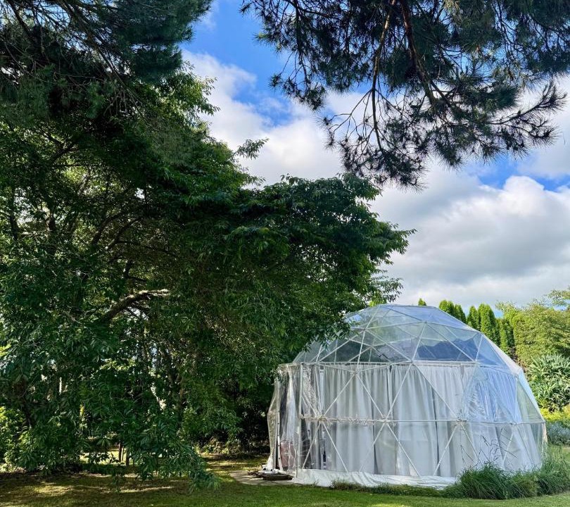 Photo of Others in Tamahere