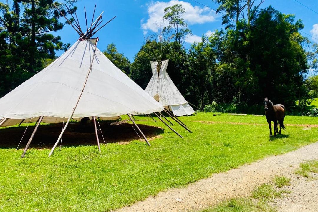 Photo of Others in Wilsons Creek