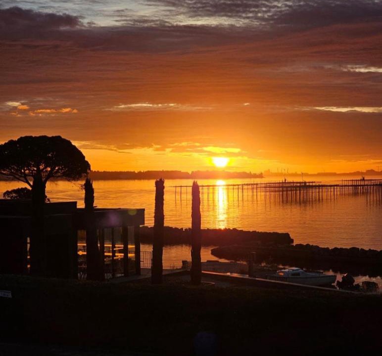 Photo of Others in Bouzigues