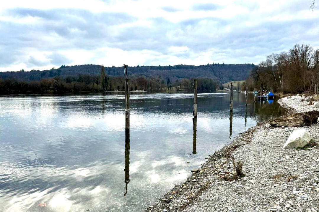 Photo of Others in Busingen am Hochrhein