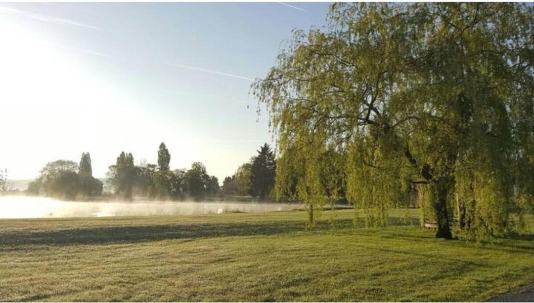 Photo of Others in Saint-Arnoult
