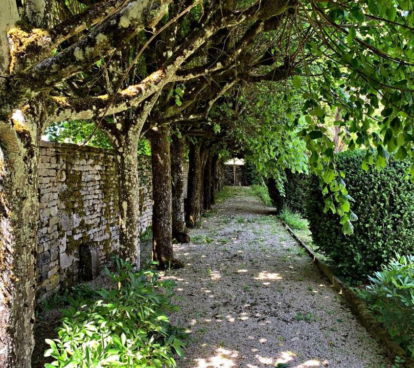 Photo of Others in Riviere-les-Fosses