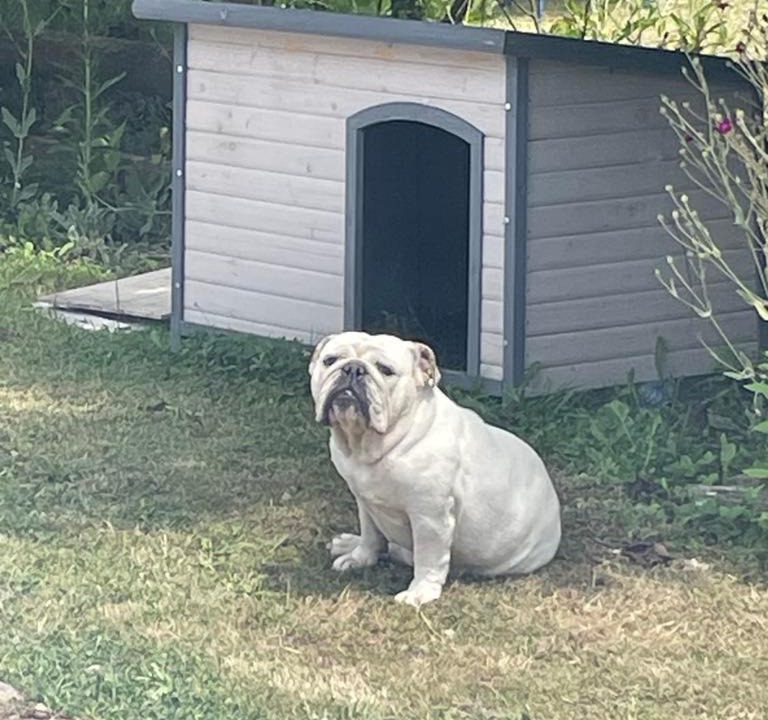 Photo of Others in Laguian-Mazous