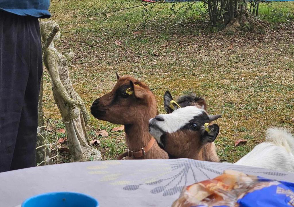 Photo of Others in Laguian-Mazous