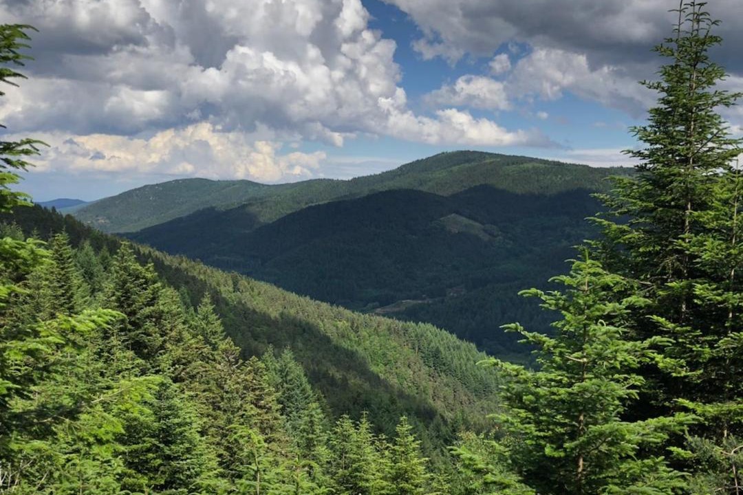 Photo of Others in Saint-Bonnet-le-Froid