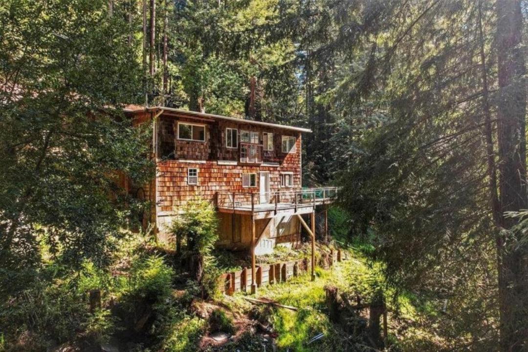 Photo of Others in Felton