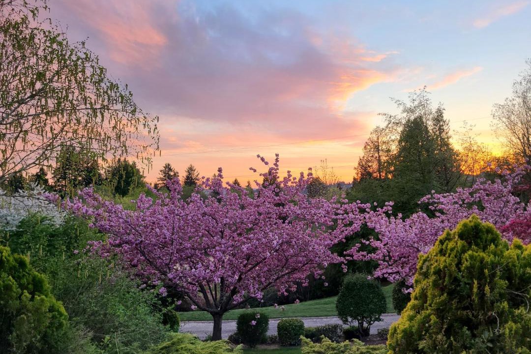 Photo of Others in Milton