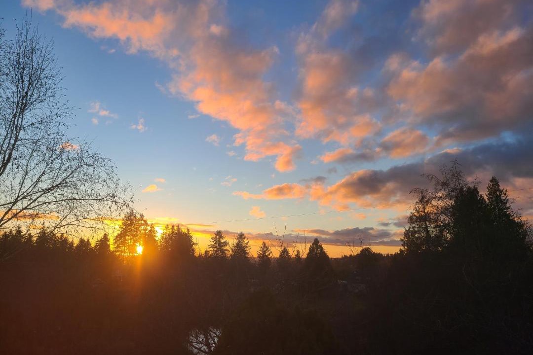 Photo of Others in Milton