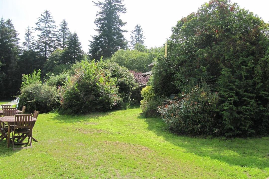 Photo of Others in Leuhan