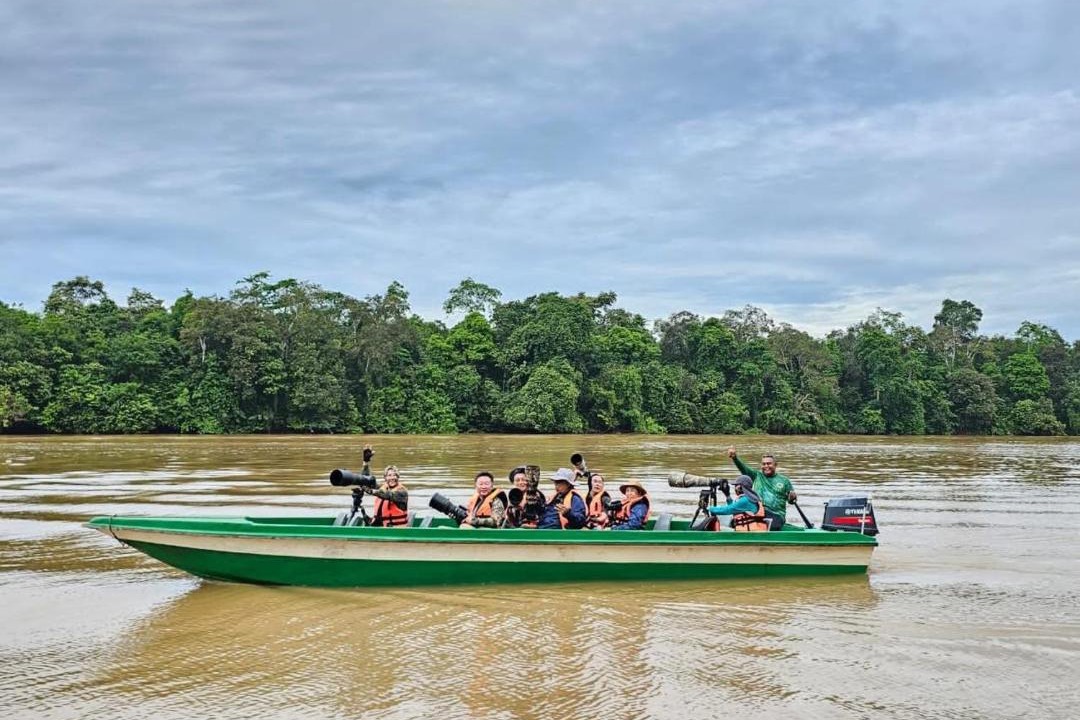 Photo of Others in Kota Kinabatangan