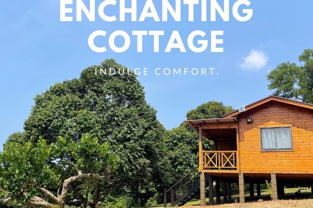 Photo of Others in Cheng