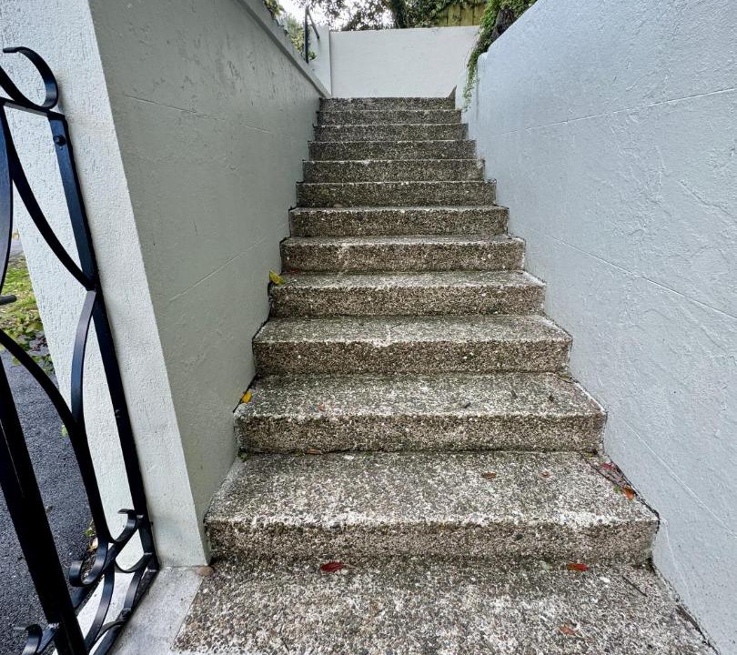 Photo of Others in Parnell