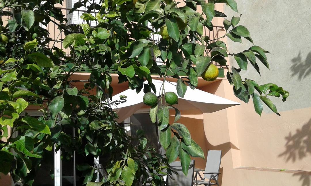 Photo of Others in Vallcarca i els Penitents