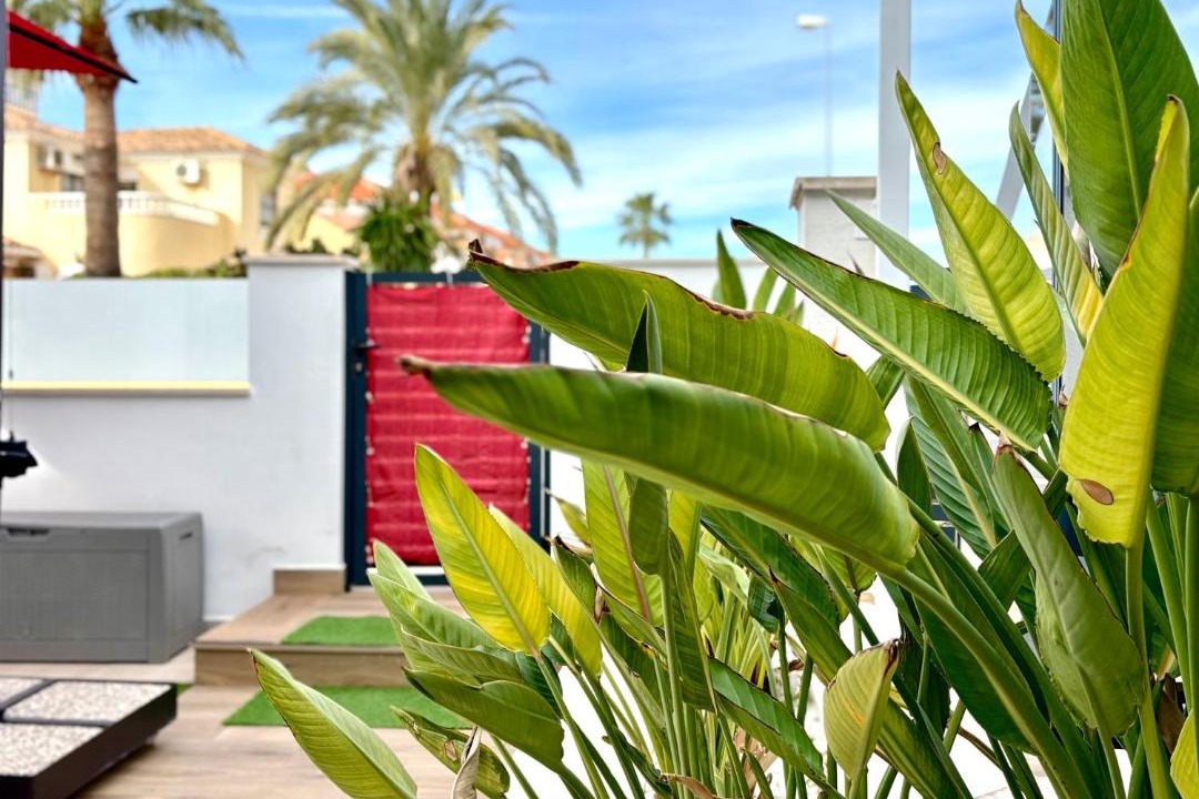 Photo of Patio Balcony in Playa Flamenca