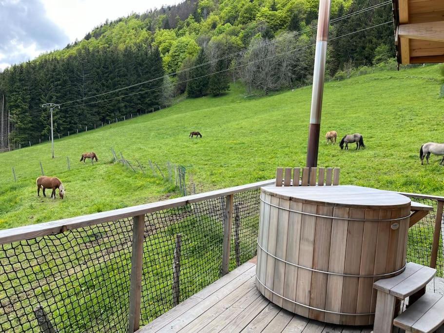 Photo of Others in La Pesse