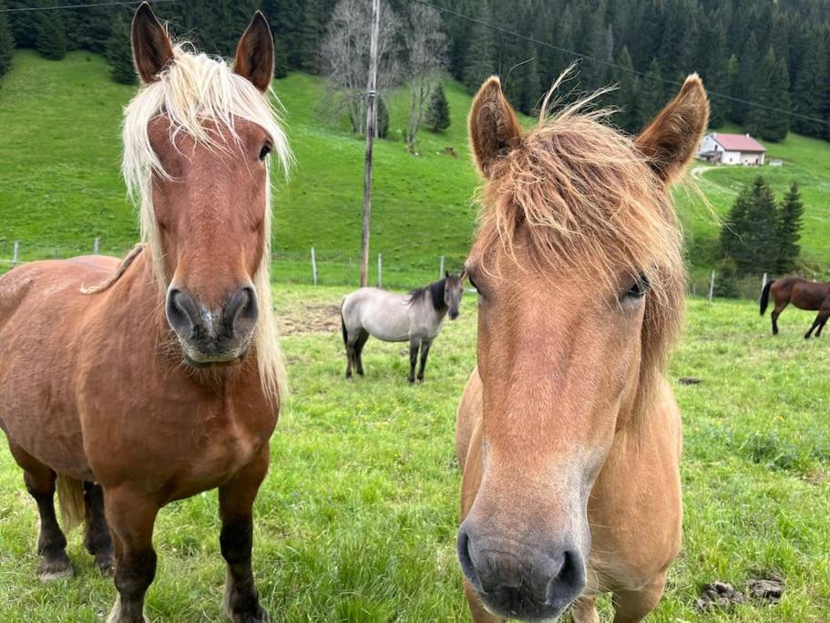 Photo of Others in La Pesse