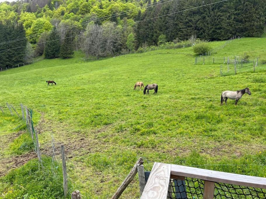 Photo of Others in La Pesse