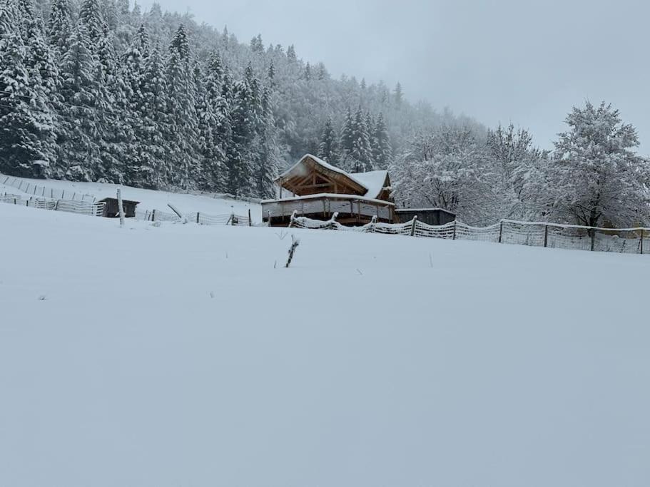 Photo of Others in La Pesse