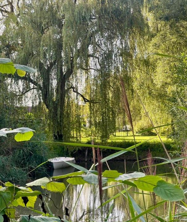 Photo of Others in Saint-Amand-les-Eaux