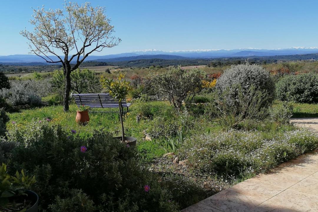 Photo of Others in Saint-Jean-de-Minervois
