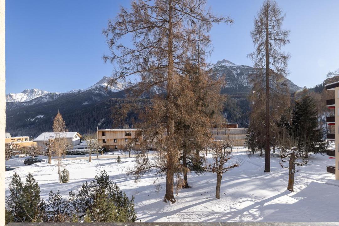 Photo of Others in Engadin Scoul