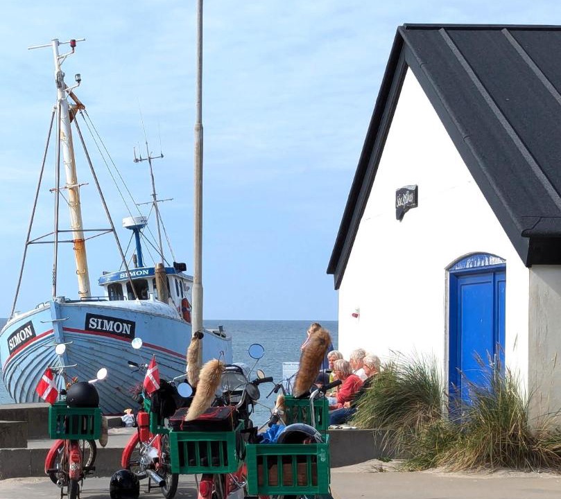 Photo of Others in Vorupør