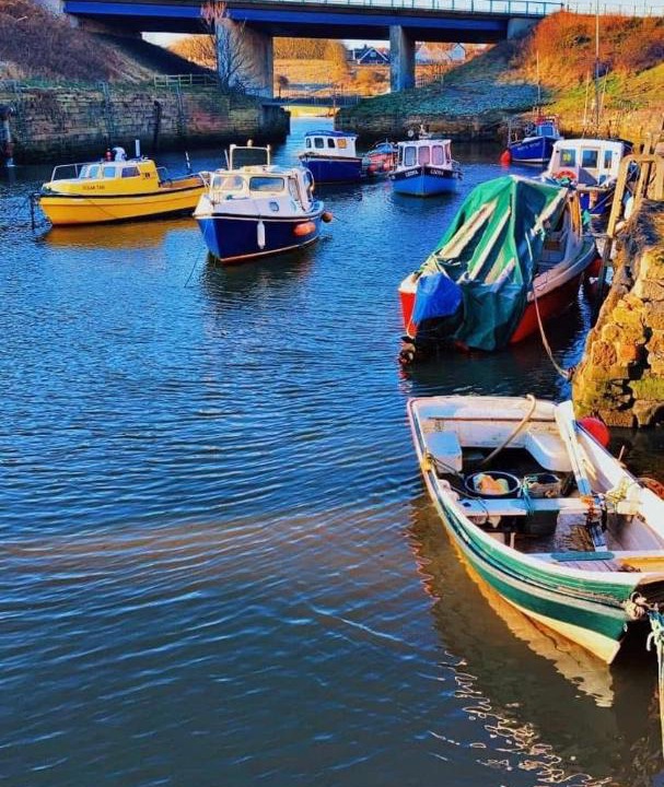 Photo of Others in Seaton Sluice