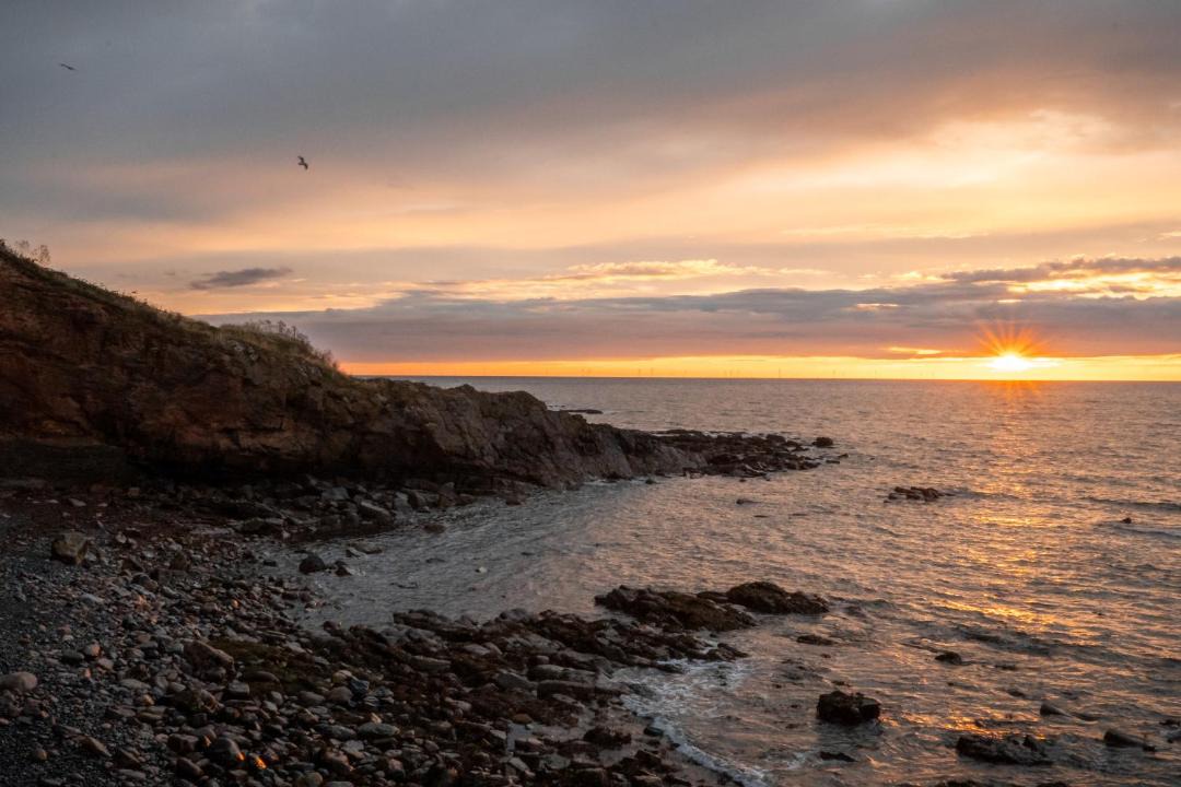 Photo of Others in Crail