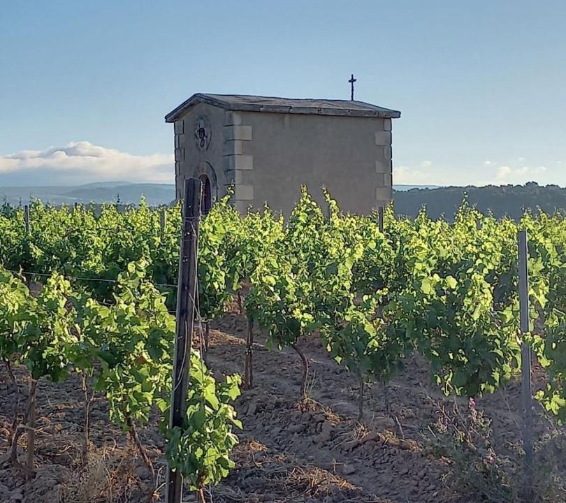 Photo of Others in Rieux-Minervois