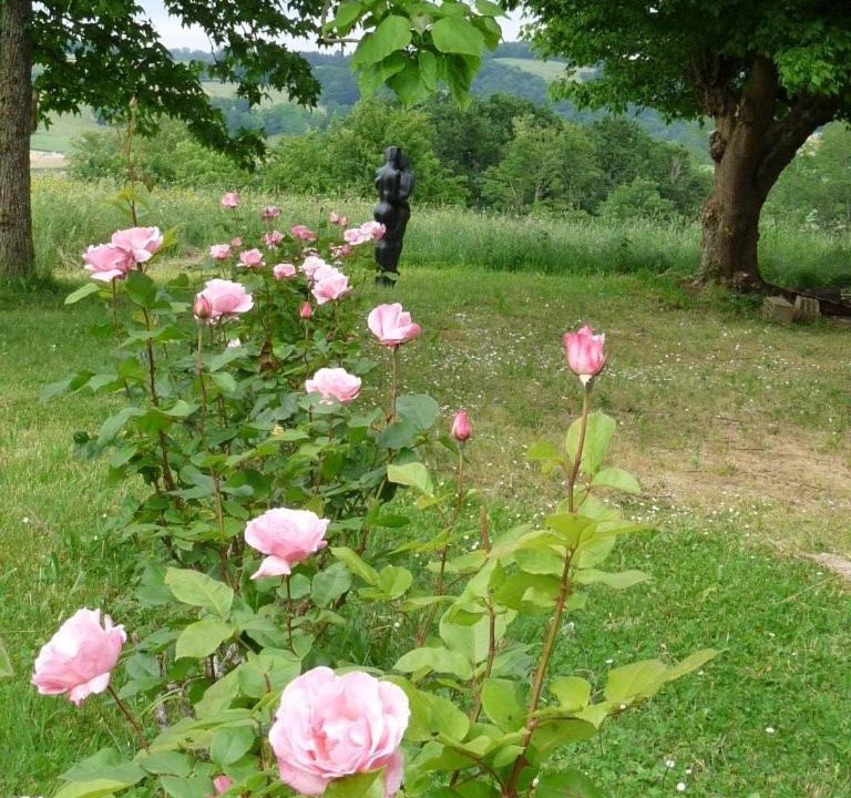 Photo of Others in Araujuzon