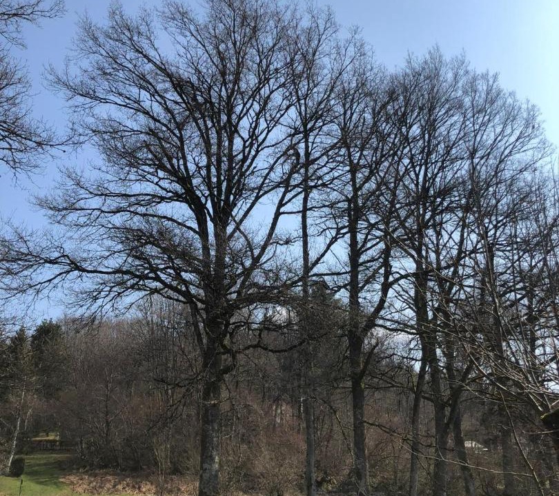 Photo of Others in Moux-en-Morvan