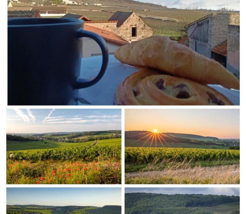 Photo of Others in Mercurey