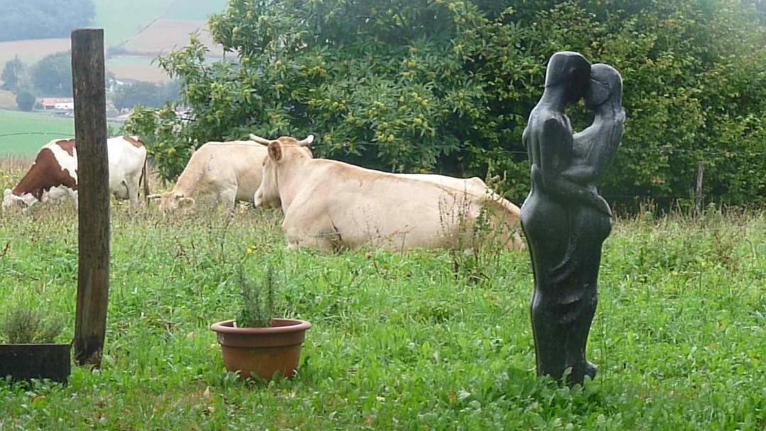 Photo of Others in Araujuzon