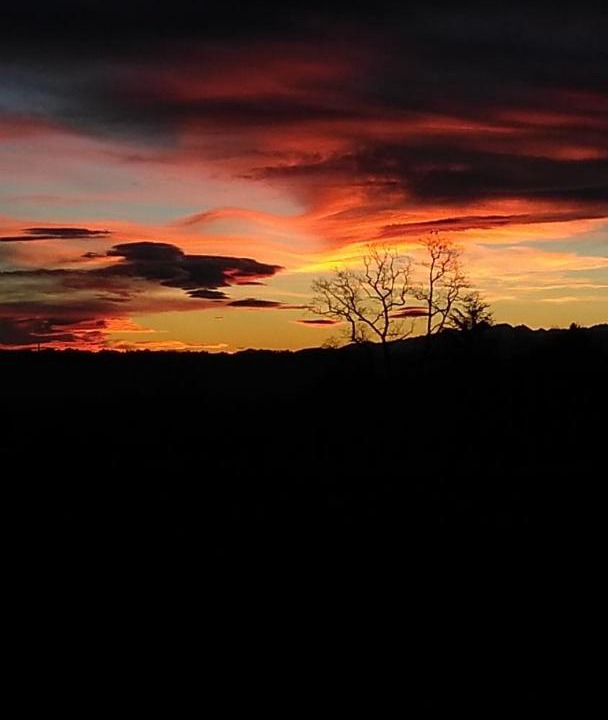 Photo of Others in Araujuzon