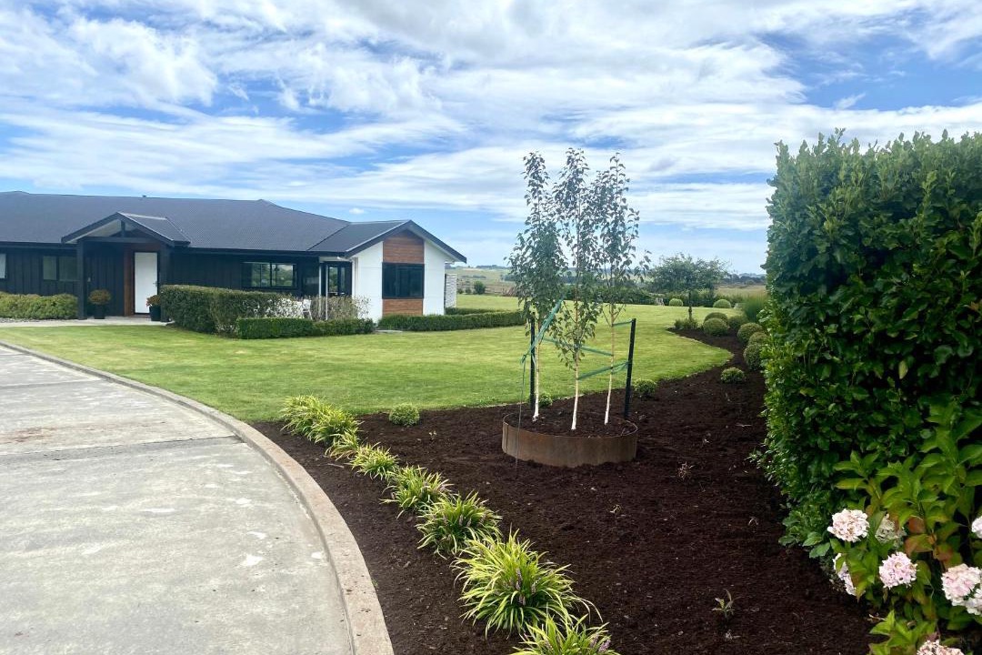 Photo of Others in Feilding