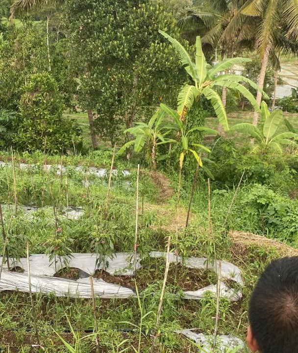 Photo of Others in Kayangan