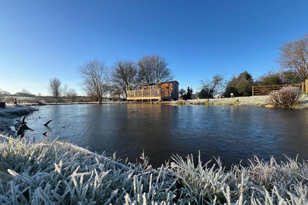 Photo of Others in Shirrell Heath